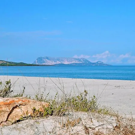 Mare E Pineta Tanauella - Isr02100b-iyd Tanaunella