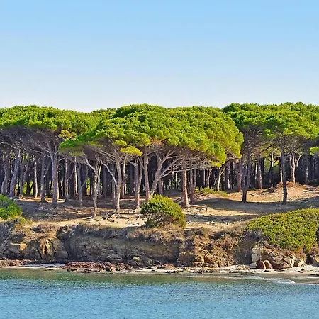 Mare E Pineta Tanauella - Isr02100b-iyd *