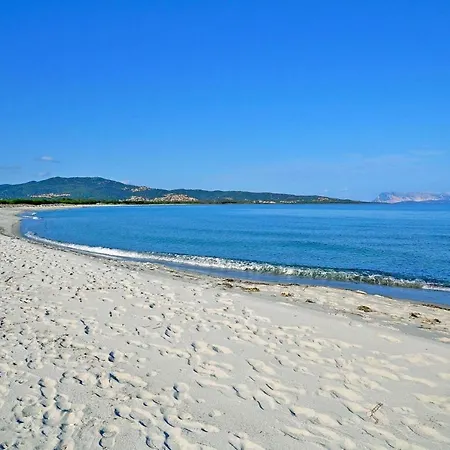 Mare E Pineta Tanauella - Isr02100b-iyd Tanaunella