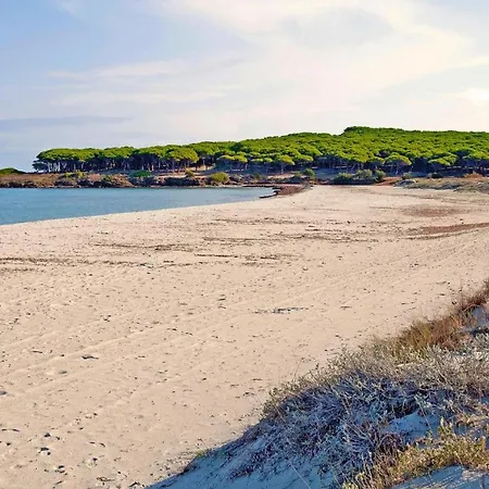 Mare E Pineta Tanauella - Isr02100b-iyd *