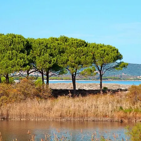 Mare E Pineta Tanauella - Isr02100b-iyd * Tanaunella